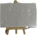 Mini Canvas Panel Kit- 4x6